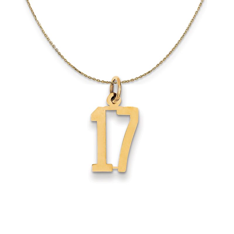 14k Yellow Gold, Alumni Small Elongated Number 17 Necklace - 24 Inch